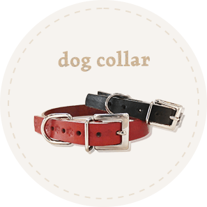 dog collar